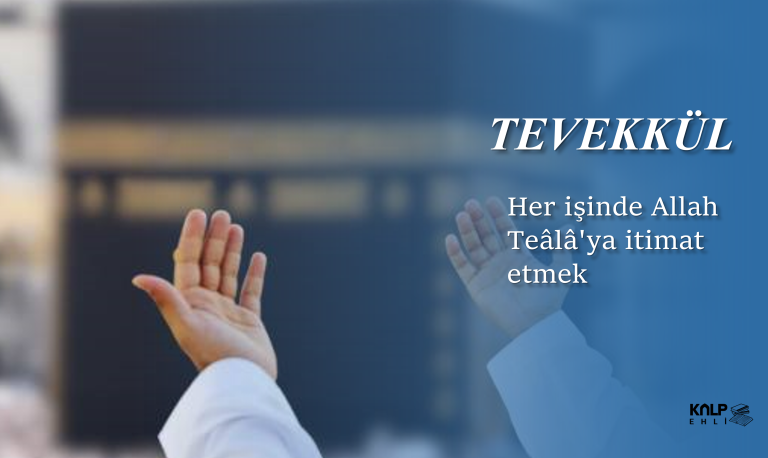 TEVEKKÜL, MÜCAHEDE, TASAVVUF, TÖVBE, KALP EHLİ, KALP, SOHBET, MENZİL, GAVS